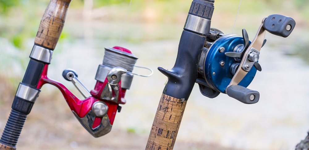 How are baitcasting reels different from other reels - Wild Mammal Blog